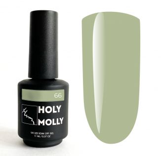 Гель - лак Holy Molly №66 11ml